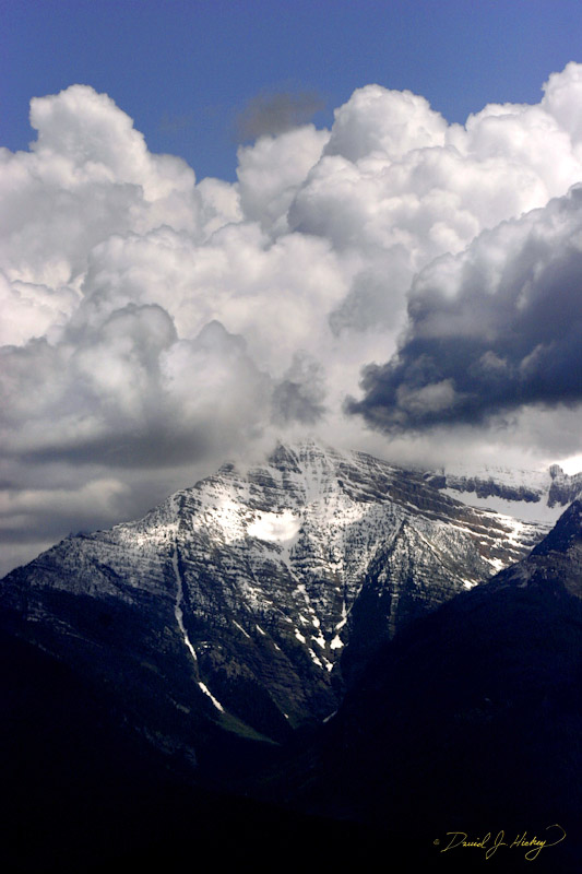 671 Mountain View II, National Bison Range, MT