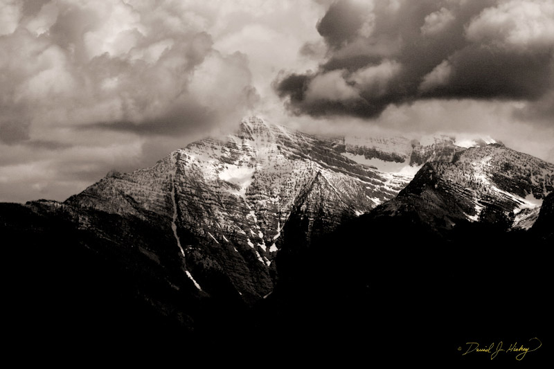 673 Mountain View III, National Bison Range, MT