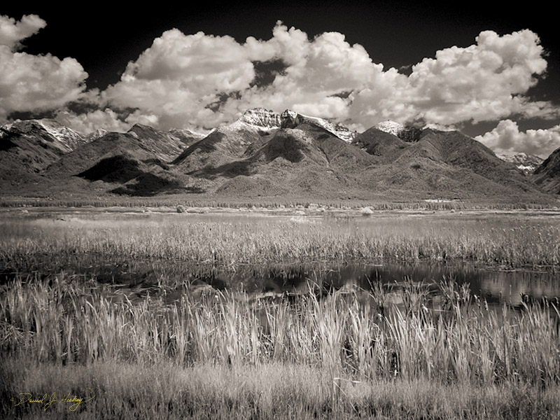 678 Mount Harding and Pond in Infrared, south of Ronan, MT