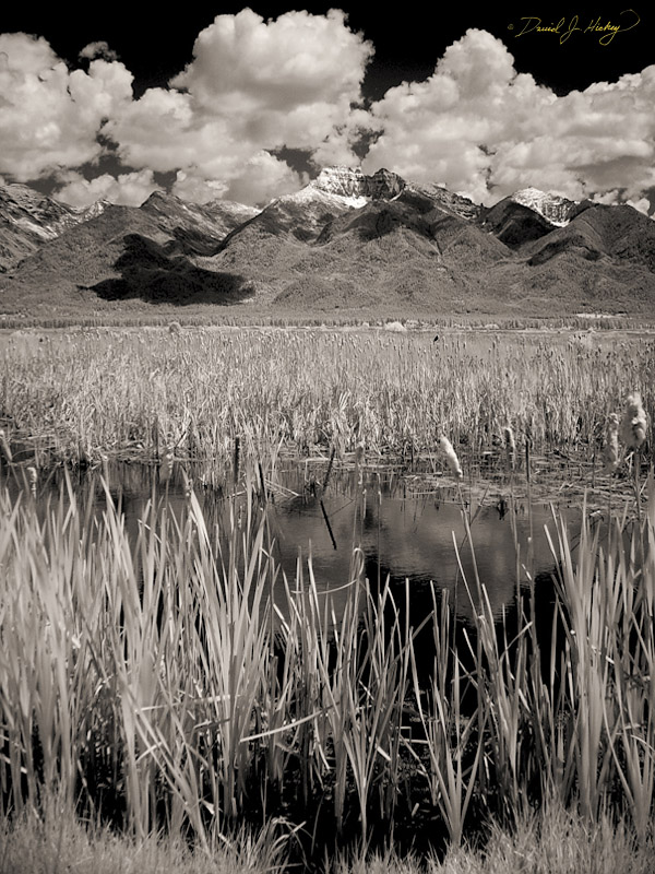 680 Mount Harding and Pond II in Infrared, south of Ronan, MT