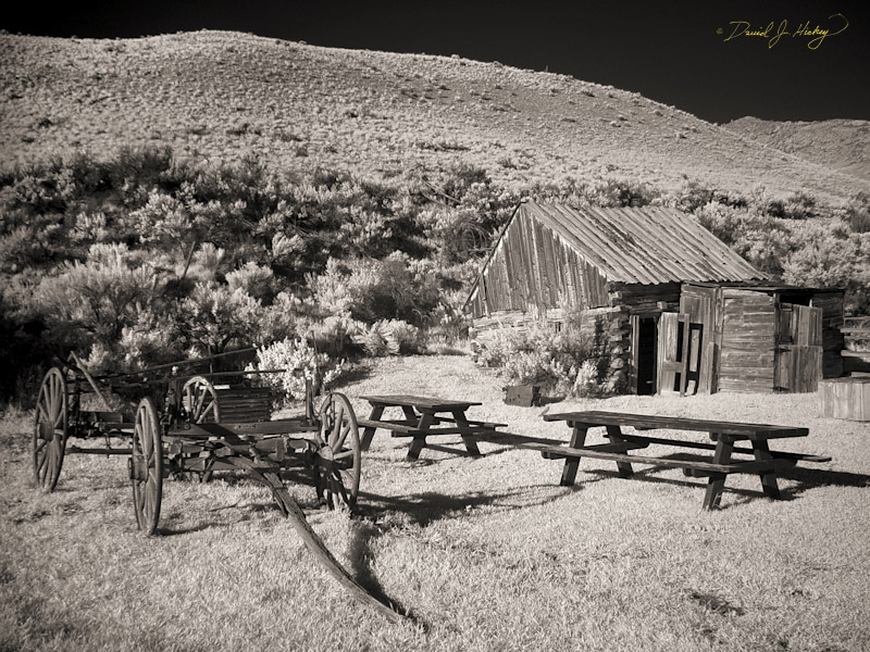 686 Bannack Ghost Town in Infrared, Bannack, MT