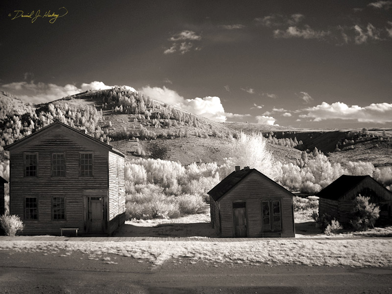 691 Bannack Ghost Town in Infrared, Bannack, MT