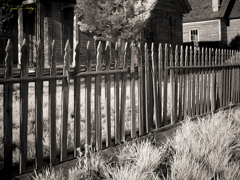 693 Bannack Ghost Town in Infrared, Bannack, MT