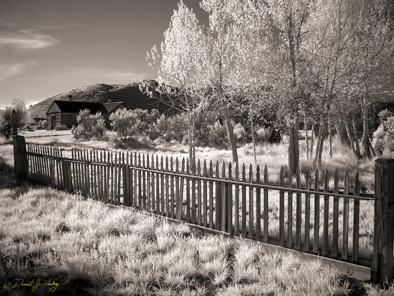 695 Bannack Ghost Town in Infrared, Bannack, MT