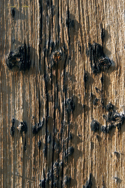 698 Bannack Ghost Town, Bannack, MT