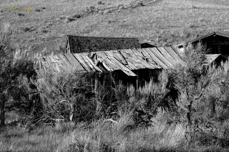 708 Bannack Ghost Town, Bannack, MT