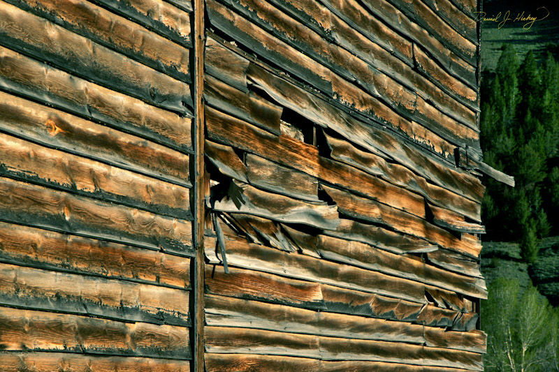 713 Bannack Ghost Town, Bannack, MT