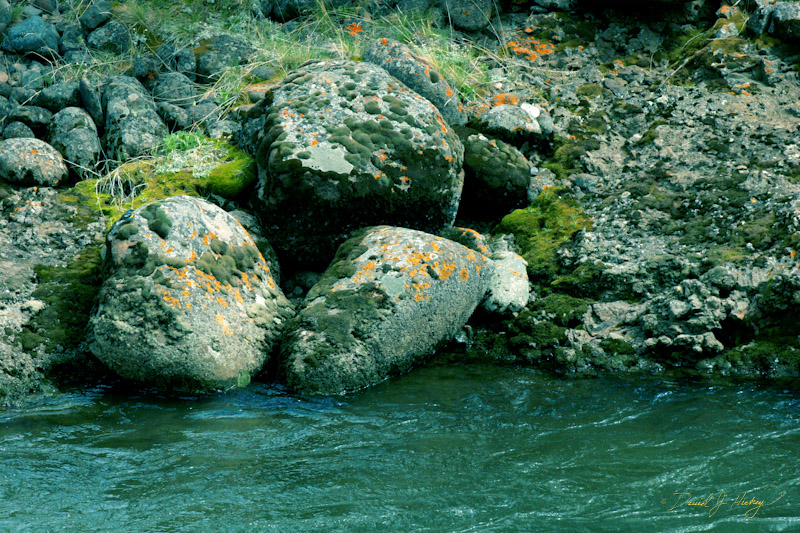 765 Moss, Rocks and Water, west of Cody, WY