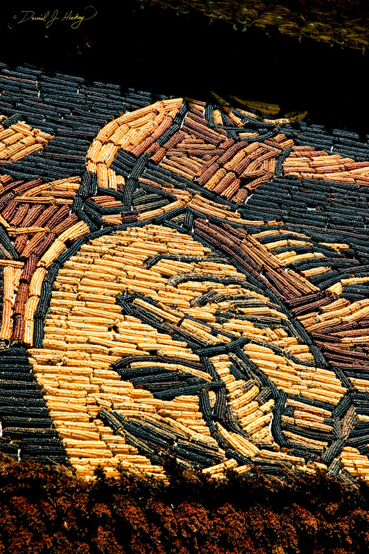 785 Corn Palace Mural, Mitchell, SD