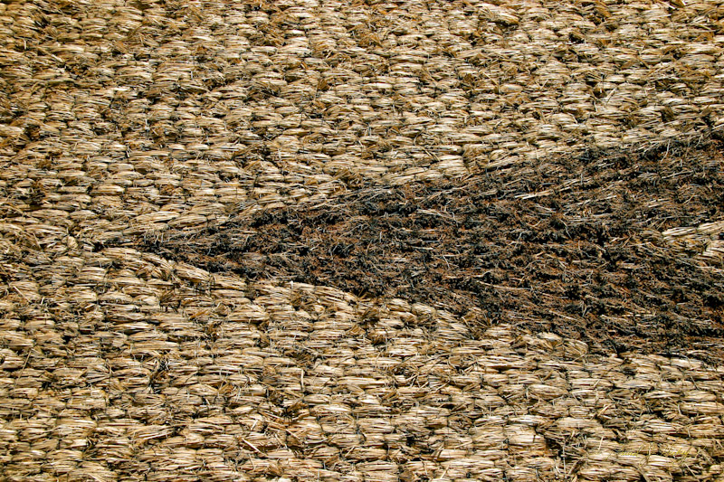 786 Corn Palace Detail, Mitchell, SD