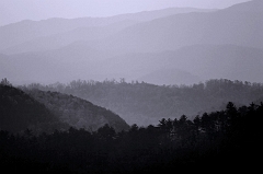 005 Smoky Sunrise series, near Walland, TN -- Easiest location to ever shoot from.  Get on Foothills Parkway off I-321, take the first pull off on left, wait for sun to rise!