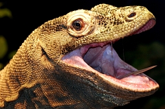 056