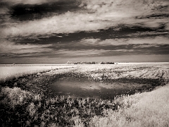 082 Rain Runoff (If runoff is even possible in such a flat area) in Infrared, near Greensburg, KS