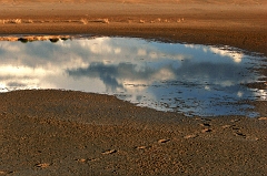 122 Wet Dry Lake Bed, near Alamogoda, NM -- I'm a sucker for reflection images, always ave been.