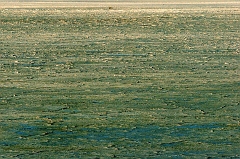 127 Wet Dry Lake Bed II, near Alamogoda, NM