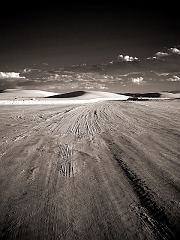 131 Tire tracks and Dunes in Infrared, White Sands, NM