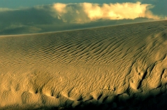 133 A Crashing Wave of Sand, White Sands, NM --  What drew me to this scene was the way the dunes looked like a rolling wave landing on a beach.  Since I was chasing the sunset I was shooting quickly at things that caught my eye and completely missed noticing the two tiny beach shovels abandoned it the bottom of the image!  Part of me hates that I was so rushed to miss noticing it -- I'd have shot more than this single frame with them -- but I also love it when something you shoot reveals a mini-treasure spot within its confines.