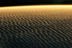 141 Sand and Wind, White Sands, NM