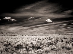 242 Clouds and Brush, along US Highway 89 south of Kingston, UT