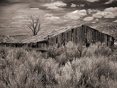252 Farm in Infrared, along US Highway 89 south of Panguitch, UT