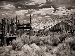 256 Farm II in Infrared, along US Highway 89 south of Panguitch, UT