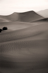 274 Dunes, Death Valley, CA
