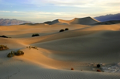 278 Sunrise with Dunes, Death Valley, CA