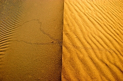282 Crossing paths, Death Valley, CA -- Hoping they were nice snakes as I walked along.