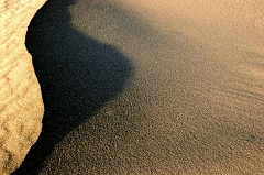 296 Mini-ridge and Shadow II, Death Valley, CA