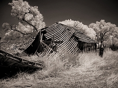 304 Abandoned Farm in Infrared, Onyx, CA