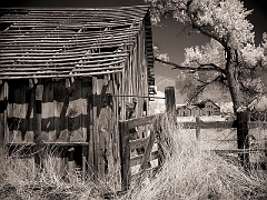 308 Abandoned Farm III in Infrared, Onyx, CA