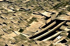 314 Abandoned Farm IX, Onyx, CA
