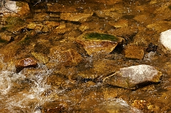 322 Mountain stream, Sequoia National Forest