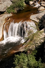 330 Kern River Waterfall, Sequoia National Forest -- Me being dumb, holding tree limb with left hand and shooting with right ... and a loooong, nasty drop below.  Shot turned out okay but not worth the risk.