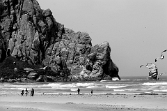333 Seaside, Morro Bay, CA