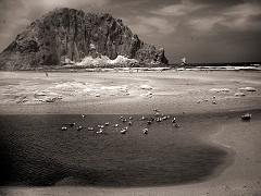 334 Seaside in Infrared, Morro Bay, CA