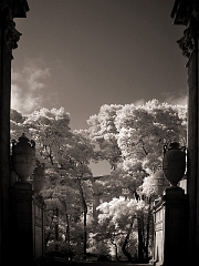 387 Palace of Fine Arts III in Infrared, San Francisco, CA