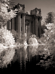 393 Palace of Fine Arts VI in Infrared, San Francisco, CA