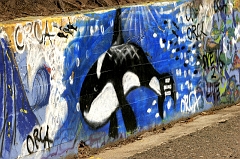 419 Community Graffiti, Bolinas, CA