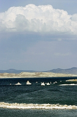 473 Mono Lake, near Lee Vining, CA