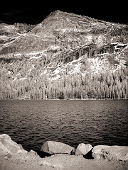 475 Tenaya lake in Infrared, off Tioga Pass Road, Yosemite, CA