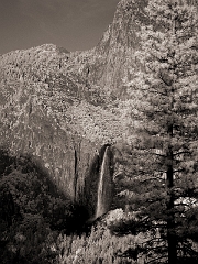 495 Bridal Veil Fall (originally called Pohono) in Infrared, Yosemite, CA