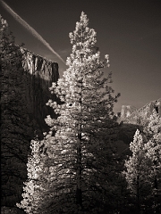 498 Glacier Point View VI in Infrared, Yosemite, CA