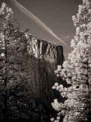 500 El Capitan (originally known as Tutucanula) III in Infrared, Yosemite, CA