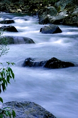 504 Merced River, Yosemite, CA