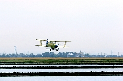 513 Cropduster VIII, near Sacramento, CA