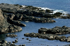 531 Surf and Rocks, near Medocino