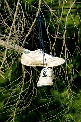 594 Shoe Tree II, road to Grant's Pass, OR