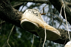 598 Shoe Tree IV, road to Grant's Pass, OR