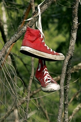 599 Shoe Tree V, road to Grant's Pass, OR
